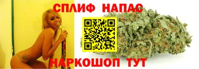 mdpv Севастополь